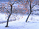 ��ʂ̋␢�E